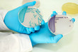 colonies bacteria