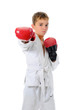 Young boy training karate. Young boy training karate.