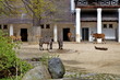 Zèbres et antilopes, zoo de Berlin, Allemagne. Zèbres et antilopes, zoo de Berlin, Allemagne.