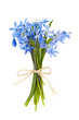 Glory of the snow flower bouquet Glory of the snow flower bouquet
