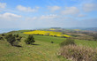 An English Rural Landscape