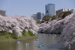 千鳥ヶ淵の花見