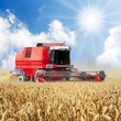 Combine harvesting wheat. Combine harvesting wheat.