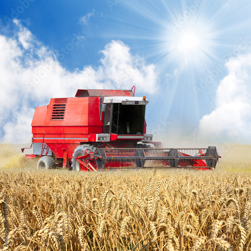 Photo: Combine harvesting wheat. Combine harvesting wheat.