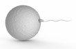 human sperm 3d render