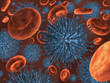 Virus a bloodcells inside a vein