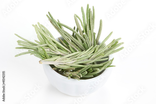 Photo: Rosemary (Rosmarinus officinalis) in a white bowl on white backg Rosemary (Rosmarinus officinalis) in a white bowl on white backg