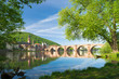 Am Ufer des Neckar