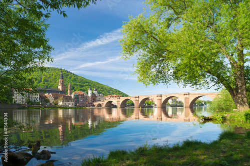 Foto: Am Ufer des Neckar Am Ufer des Neckar