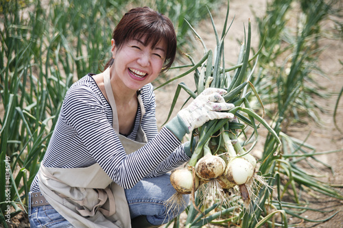 Photo: 家庭菜園 家庭菜園