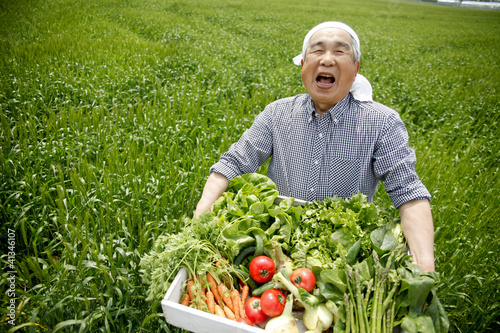 Photo: 農業 農業