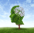 Detalii fotografie Dementia Concept