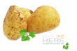 New Potato and green parsley New Potato and green parsley