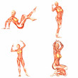 Female Human Body Anatomy Pack - 2of5