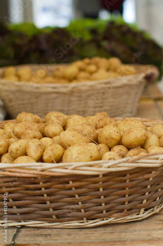 Photo: pommes de terre de l'île de Ré pommes de terre de l'île de Ré