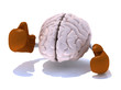 brain with boxing gloves in a fight, 3d illustration
