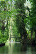 Spreewald Wasser Kanäle Natur