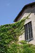 finca