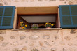 fenster mit blumen