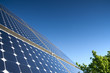 Solar Panel