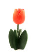 Wooden tulip