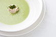 vegetable soup