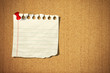 blank note paper with push pins on cork board