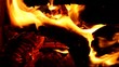 feu de bois