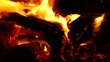 feu de bois