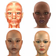 Female Face Pack Female Face Pack