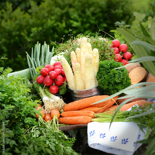Foto: Ernte aus dem Bauerngarten Ernte aus dem Bauerngarten