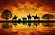 Silhouette cowboys on horses with cows in the sunset