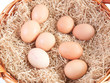 Eggs in wicker basket