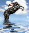 cheval cabré en mer