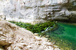 Canyon du Vercors