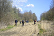 Cyclists riding on rural road Cyclists riding on rural road