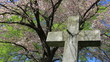 Cemetery cross statue in springtime