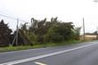 Roadside damage after the storm Roadside damage after the storm