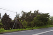 After the storm After the storm