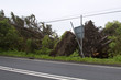 Roadside damage after the storm Roadside damage after the storm