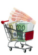 Shopping Cart with money