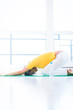 Foto: Pretty young woman doing YOGA exercise at home Pretty young woman doing YOGA exercise at home