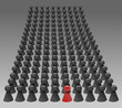 Demonstration - Individuum