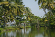 backwaters in alleppey, kerala