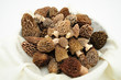 Morel Mushroom