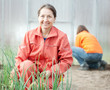 women works at hothouse women works at hothouse