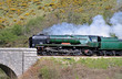 The Age of Steam