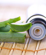 aloe vera essential oil
