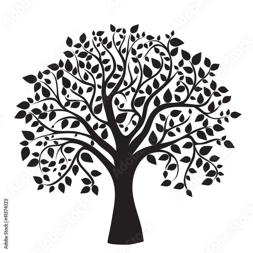 Illustration: black tree silhouette isolated on white background black tree silhouette isolated on white background