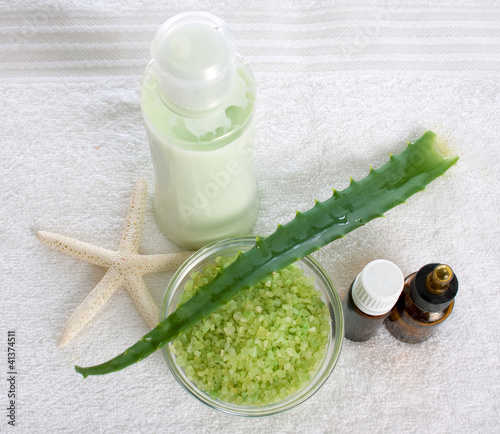 Photo: Aloe vera leaves Aloe vera leaves